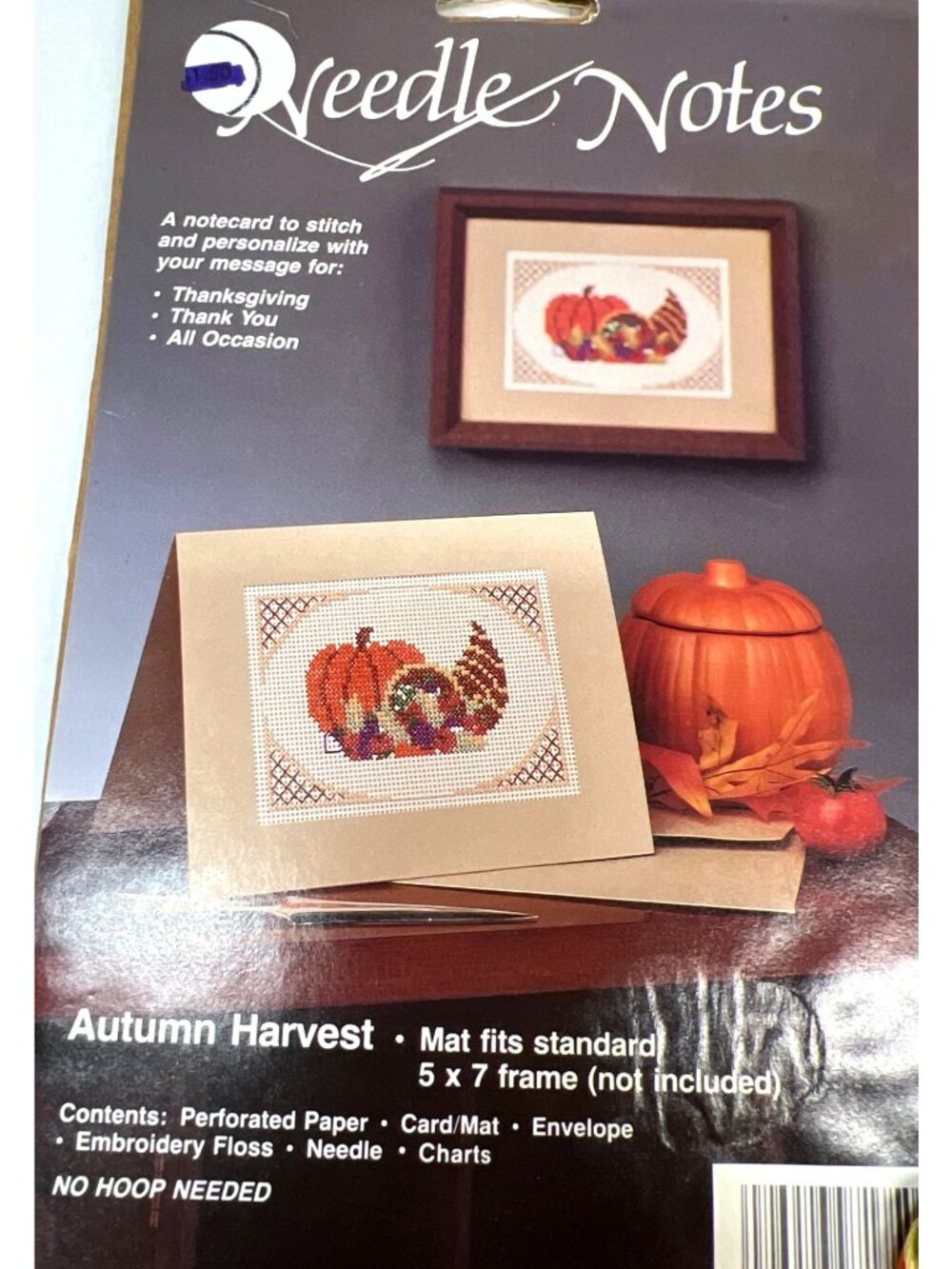 Needle Notes Autumn Harvest Cross Stitch Card Kit 5x7 Floss Perforated Paper